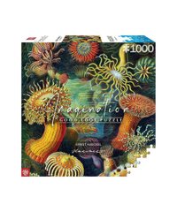 GoodLoot Пазл Imagination: Ernst Haeckel: Sea Anemones/Stworzenia morskie Puzzles 1000 ел.
