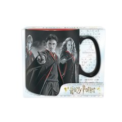 Чашка HARRY POTTER Harry, Ron, Hermione (Гарри Поттер) 320 мл