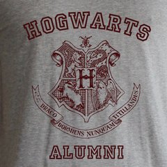 Футболка HARRY POTTER Hogwarts Alumni (Гаррі Поттер) для жінок сіра