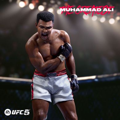 Диск з грою EA Sports UFC5 [BD диск] (Xbox Series X)