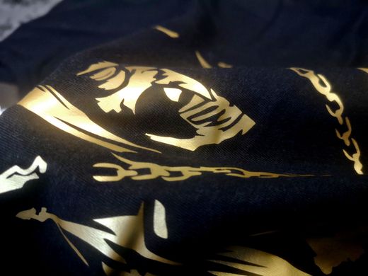 Футболка Darius Mortal Kombat Скорпіон (чорна+ малюнок золото)