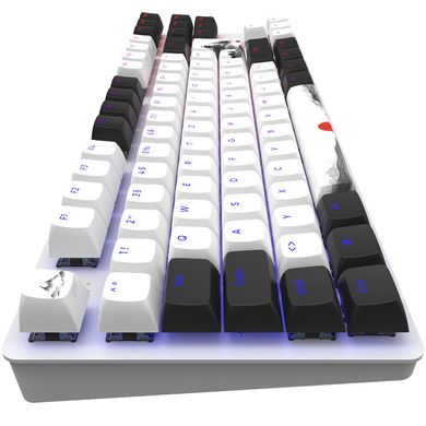Ігрова клавіатура DARK PROJECT One - 87 Fuji - Mech. G3MS ISO (DE)